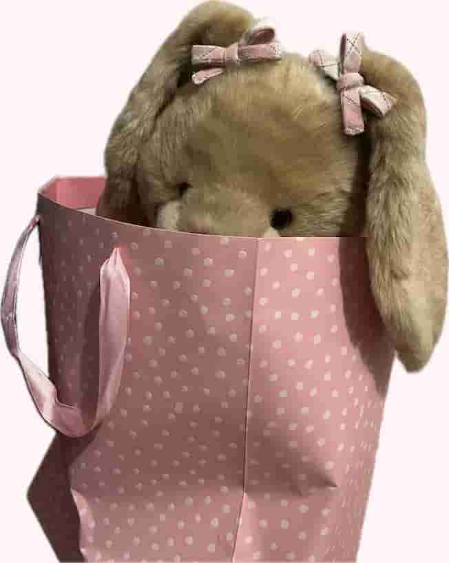 Souffle peeking out of a pink paper bag with ribbon handles. There are pink bows on her ears