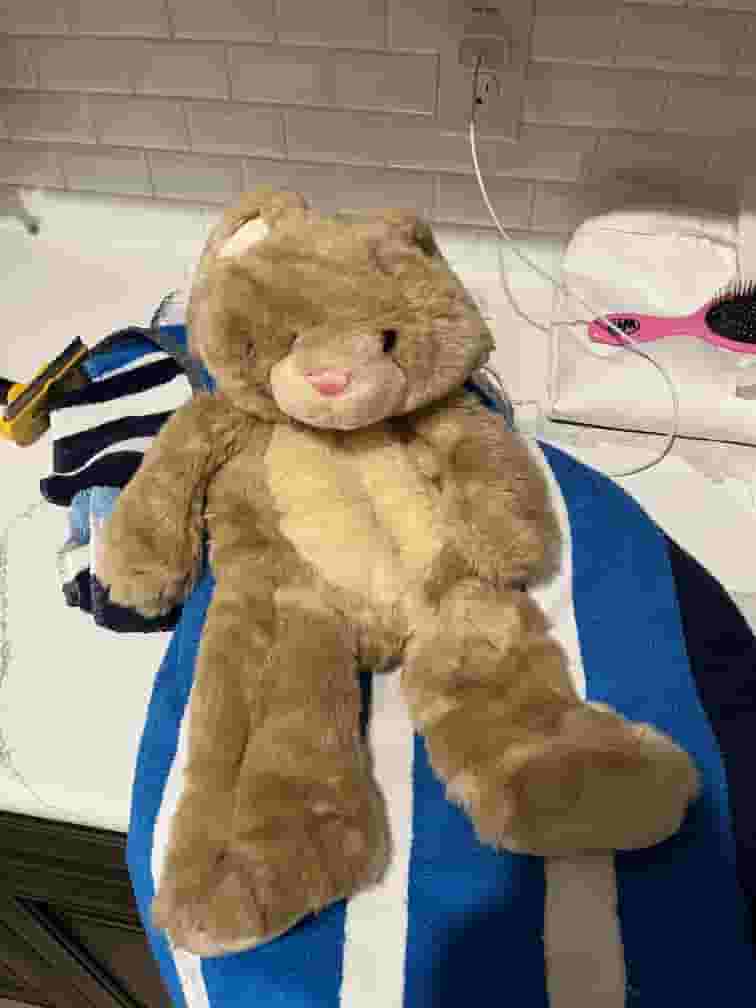Souffle lying on a beach towel without any stuffing. She is deflated and wet