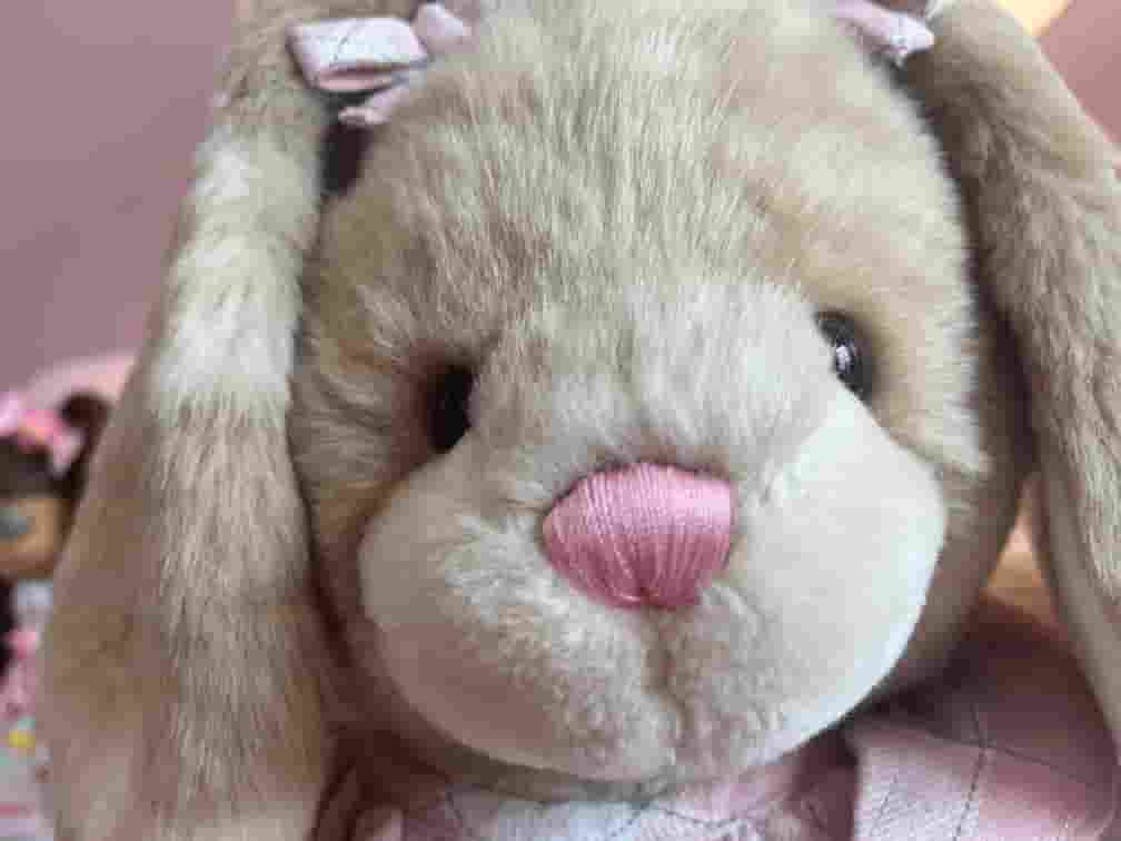 Souffle, a 2005 Build-a-Bear Vanilla Fudge Bunny, with her face close to the camera and somewhat distorted